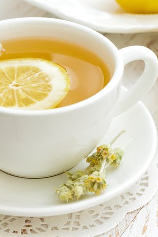 Обои лимон, кружка, блюдце, чай, сахар, lemon, mug, saucer, tea, sugar разрешение 2560x1600 Загрузить