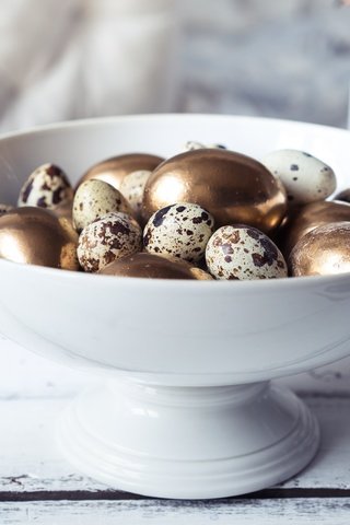 Обои весна, пасха, яйца крашеные, перепелиные яйца, spring, easter, the painted eggs, quail eggs разрешение 7952x5304 Загрузить