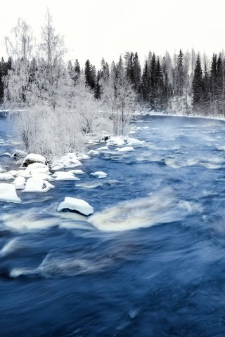 Обои деревья, река, снег, зима, мост, лёд, течение, trees, river, snow, winter, bridge, ice, for разрешение 2560x1600 Загрузить