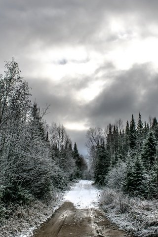 Обои дорога, лес, тучи, зима, ели, road, forest, clouds, winter, ate разрешение 1920x1280 Загрузить