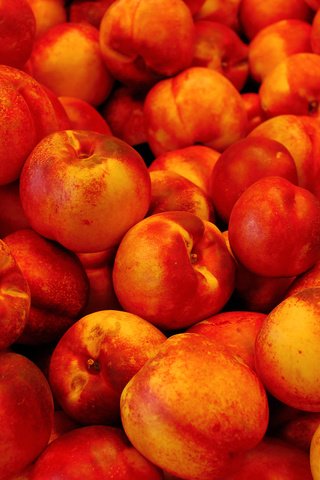 Обои фрукты, нектарин, нектарины, fruit, nectarine, nectarines разрешение 2560x1600 Загрузить