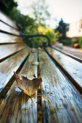 Обои макро, парк, капли, осень, лист, скамейка, macro, park, drops, autumn, sheet, bench разрешение 1930x1206 Загрузить