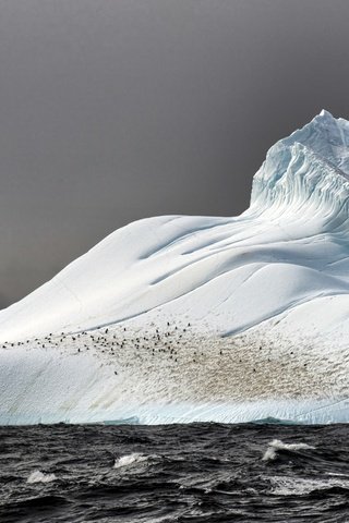 Обои море, лёд, айсберг, глыба, sea, ice, iceberg, lump разрешение 2560x1600 Загрузить
