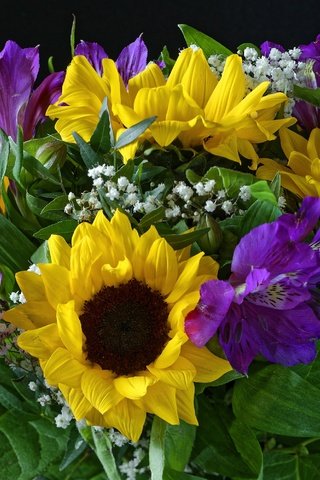 Обои цветы, подсолнух, букет, альстромерия, flowers, sunflower, bouquet, alstroemeria разрешение 3000x2002 Загрузить
