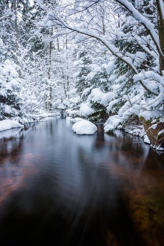 Обои деревья, река, снег, лес, зима, ели, trees, river, snow, forest, winter, ate разрешение 2048x1365 Загрузить