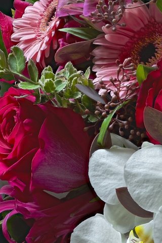 Обои цветы, розы, букет, орхидея, гербера, flowers, roses, bouquet, orchid, gerbera разрешение 3000x1938 Загрузить