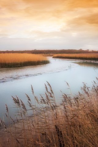 Обои трава, река, берег, осень, камыш, grass, river, shore, autumn, reed разрешение 2047x1180 Загрузить