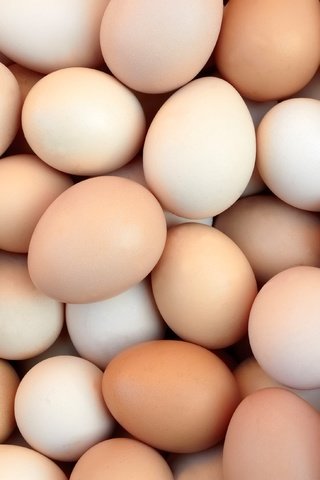 Обои яйца, яйцо, яйцо куриное, eggs, egg, chicken egg разрешение 3897x2598 Загрузить