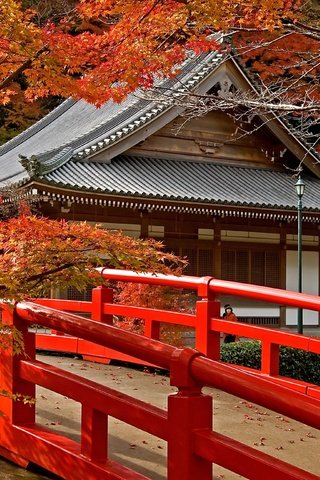 Обои дорога, деревья, листья, храм, мост, япония, клен, road, trees, leaves, temple, bridge, japan, maple разрешение 3872x2592 Загрузить