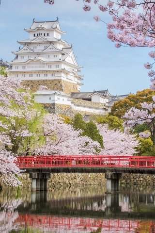 Обои мост, замок, япония, сакура, химэдзи, bridge, castle, japan, sakura, himeji разрешение 2048x1341 Загрузить