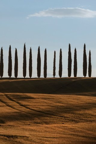 Обои небо, деревья, холмы, поля, италия, тоскана, the sky, trees, hills, field, italy, tuscany разрешение 2048x1367 Загрузить