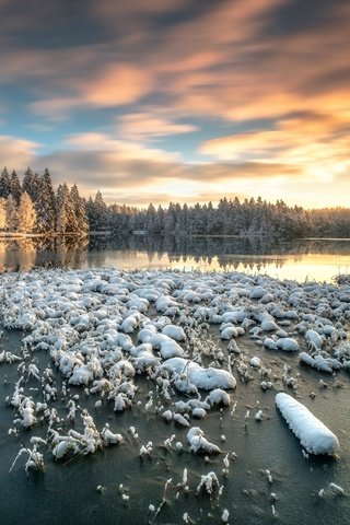 Обои небо, озеро, снег, лес, зима, утро, швейцария, the sky, lake, snow, forest, winter, morning, switzerland разрешение 2499x1562 Загрузить