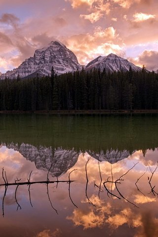 Обои облака, озеро, горы, лес, отражение, коряга, clouds, lake, mountains, forest, reflection, snag разрешение 1920x1200 Загрузить