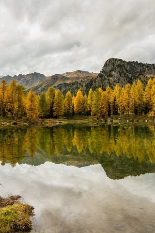 Обои небо, облака, озеро, горы, природа, лес, отражение, осень, the sky, clouds, lake, mountains, nature, forest, reflection, autumn разрешение 2000x1334 Загрузить