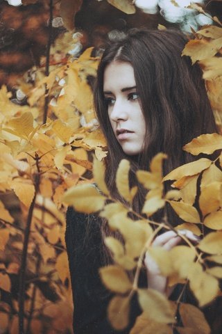 Обои природа, листья, девушка, брюнетка, взгляд, осень, nature, leaves, girl, brunette, look, autumn разрешение 2048x1367 Загрузить