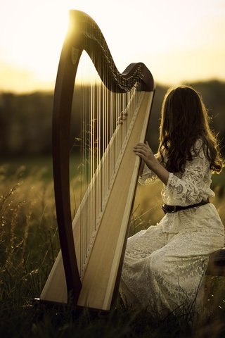 Обои свет, природа, девушка, поле, волосы, арфа, light, nature, girl, field, hair, harp разрешение 2048x1365 Загрузить