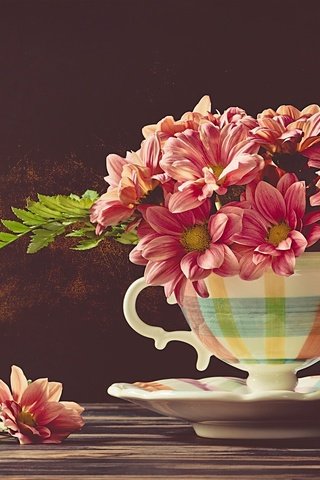 Обои цветы, блюдце, чашка, хризантемы, flowers, saucer, cup, chrysanthemum разрешение 2048x1367 Загрузить