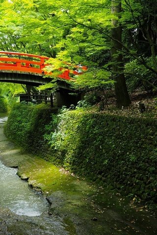 Обои деревья, вода, мостик, парк, канал, япония, trees, water, the bridge, park, channel, japan разрешение 2048x1152 Загрузить