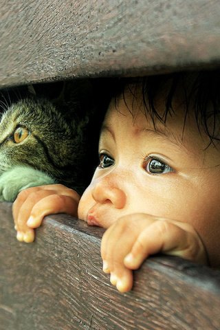 Обои глаза, мальчик, кот, взгляд, котенок, дети, волосы, лицо, ребенок, eyes, boy, cat, look, kitty, children, hair, face, child разрешение 3000x1994 Загрузить