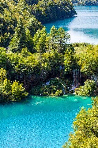 Обои вода, плитвицкие озёра, озеро, туристы, природа, хорватия., лес, леса, озёра, красиво, тропики, хорватия, water, plitvice lakes, lake, tourists, nature, croatia., forest, beautiful, tropics, croatia разрешение 4767x3178 Загрузить