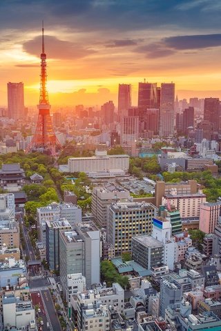 Обои панорама, япония, башня, дома, токио, panorama, japan, tower, home, tokyo разрешение 2048x1365 Загрузить