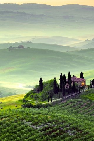 Обои холмы, италия, сопка, виноградник, тоскана, hills, italy, hill, vineyard, tuscany разрешение 1920x1200 Загрузить