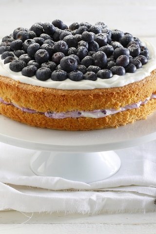 Обои ягоды, черника, сладкое, торт, десерт, крем, berries, blueberries, sweet, cake, dessert, cream разрешение 2048x1365 Загрузить