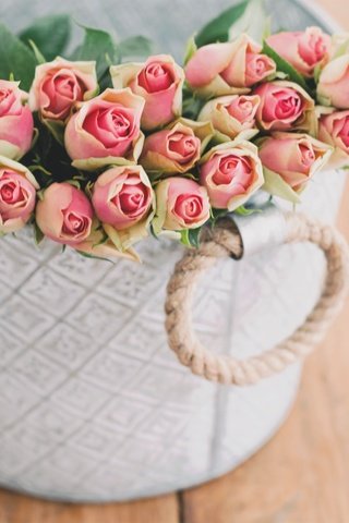 Обои цветы, бутоны, розы, доски, коробка, flowers, buds, roses, board, box разрешение 5335x3561 Загрузить