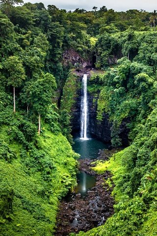 Обои деревья, samoa, камни, зелень, лес, скала, водопад, тропики, джунгли, trees, stones, greens, forest, rock, waterfall, tropics, jungle разрешение 1920x1361 Загрузить