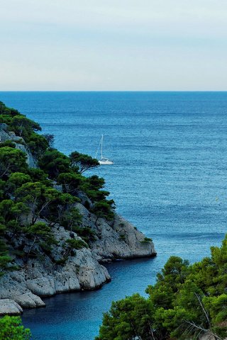 Обои деревья, яхта, скалы, франция, природа, прованс, камни, calanque, port miou, берег, море, горизонт, побережье, trees, yacht, rocks, france, nature, provence, stones, shore, sea, horizon, coast разрешение 3840x2160 Загрузить