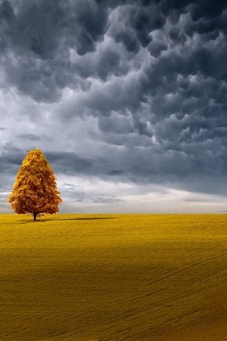 Обои небо, облака, пейзаж, поле, the sky, clouds, landscape, field разрешение 1920x1080 Загрузить