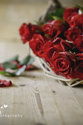 Обои цветы, розы, лепестки, букет, flowers, roses, petals, bouquet разрешение 2880x1800 Загрузить