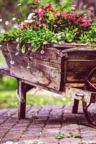 Обои цветы, сад, тележка, flowers, garden, truck разрешение 1920x1200 Загрузить