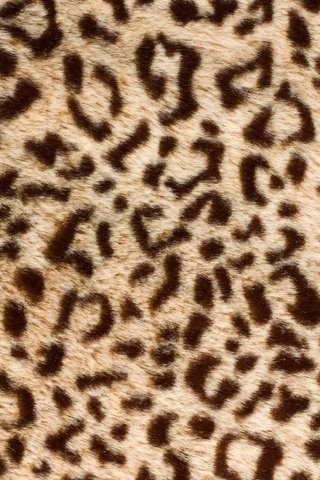 Обои текстура, леопард, шкура, мех, texture, leopard, skin, fur разрешение 2880x1800 Загрузить