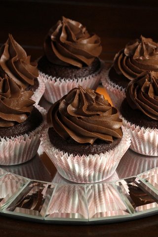 Обои шоколад, сладкое, десерт, кексы, капкейк, крем, капкейки, chocolate, sweet, dessert, cupcakes, cupcake, cream разрешение 2881x1920 Загрузить