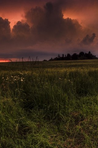 Обои небо, лошадь, трава, облака, закат, конь, the sky, horse, grass, clouds, sunset разрешение 3513x1920 Загрузить