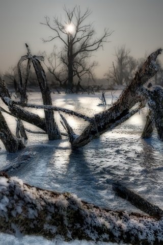 Обои деревья, озеро, зима, лёд, холод, trees, lake, winter, ice, cold разрешение 2048x1372 Загрузить