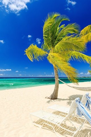 Обои природа, тропики, море, песок, пляж, пальмы, гамак, ветер, лежаки, nature, tropics, sea, sand, beach, palm trees, hammock, the wind, sunbeds разрешение 2880x1920 Загрузить