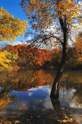 Обои вода, природа, осень, красиво, water, nature, autumn, beautiful разрешение 2560x1600 Загрузить