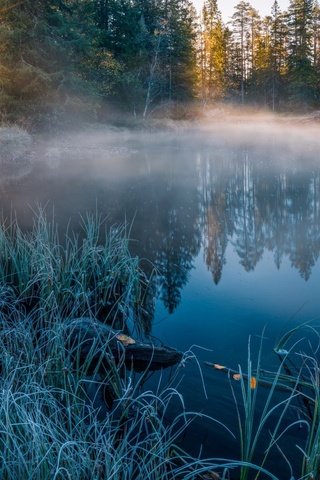 Обои река, природа, лес, зима, отражение, солнечный свет, river, nature, forest, winter, reflection, sunlight разрешение 1920x1200 Загрузить