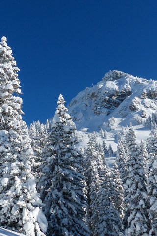 Обои горы, природа, лес, зима, mountains, nature, forest, winter разрешение 2880x1800 Загрузить