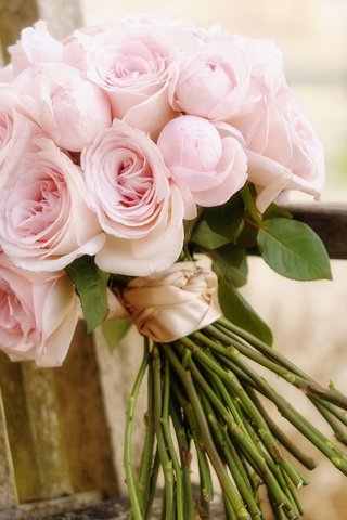 Обои цветы, розы, букет, свадебный букет, flowers, roses, bouquet, wedding bouquet разрешение 1920x1200 Загрузить