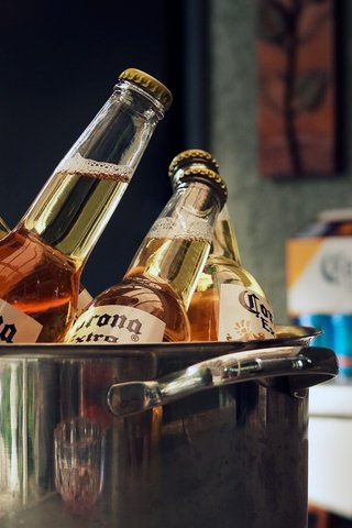 Обои пиво, бутылки, алкоголь, кастрюля, corona, beer, bottle, alcohol, pan разрешение 2048x1152 Загрузить