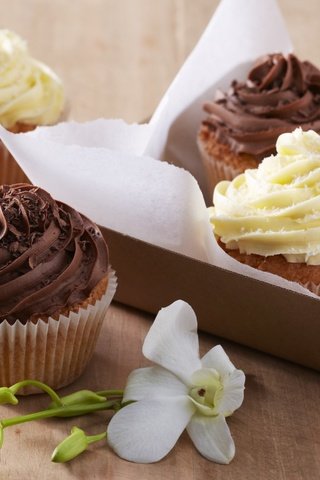 Обои цветок, сладкое, десерт, кексы, маффины, крем, flower, sweet, dessert, cupcakes, muffins, cream разрешение 1920x1080 Загрузить