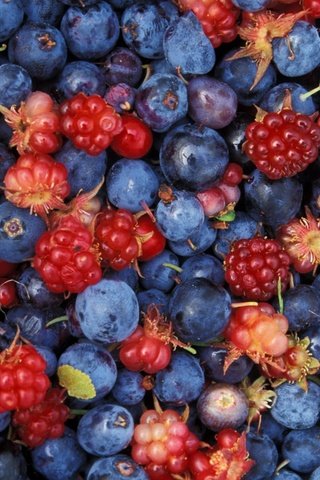 Обои малина, ягоды, много, черника, raspberry, berries, a lot, blueberries разрешение 2880x1800 Загрузить