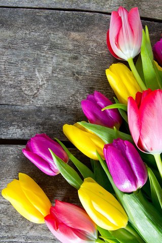 Обои цветы, бутоны, лепестки, разноцветные, тюльпаны, деревянная поверхность, flowers, buds, petals, colorful, tulips, wooden surface разрешение 1920x1200 Загрузить