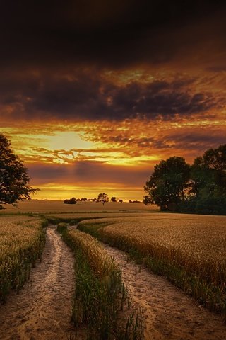 Обои небо, дорога, облака, деревья, природа, закат, поле, горизонт, the sky, road, clouds, trees, nature, sunset, field, horizon разрешение 2048x1364 Загрузить