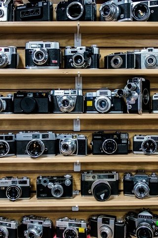 Обои фотоаппарат, много, коллекция, полки, фотоаппараты, the camera, a lot, collection, shelves, cameras разрешение 2048x1365 Загрузить