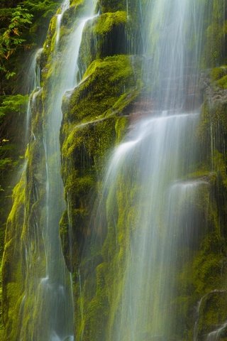 Обои природа, водопад, сша, мох, орегон, nature, waterfall, usa, moss, oregon разрешение 4652x2957 Загрузить