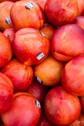 Обои фрукты, плоды, нектарин, нектарины, fruit, nectarine, nectarines разрешение 4560x3648 Загрузить